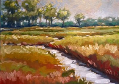 Paynes Prairie