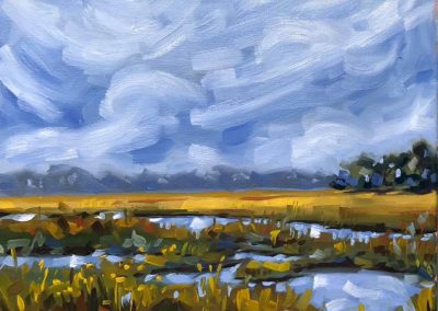 Stormy Florida Marsh